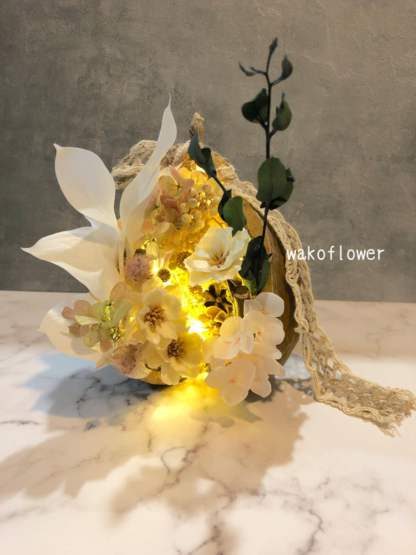 幸福のブッダナッツ/LEDライトアップ天然素材ドライフラワー