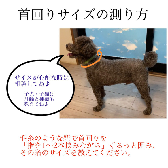 【優しいつけ心地】 上品な飾りカシメつき ステッチが可愛い 猫・犬用 本革首輪  迷子札つきで安心♪ 柔らかい革 7枚目の画像