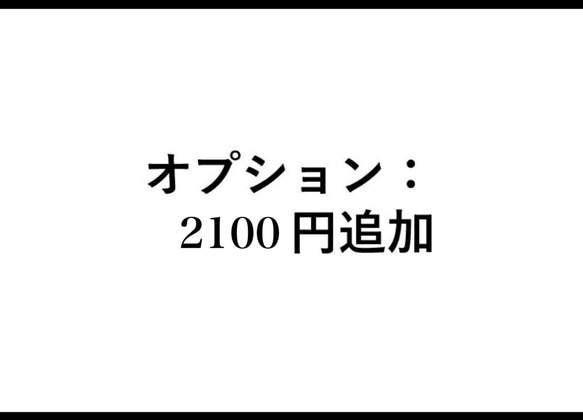 追加費用 1枚目の画像