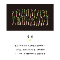 ［着る山菜］うどTシャツ（ブラック） 2枚目の画像