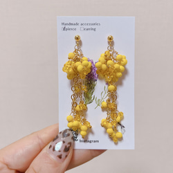 ミモザ　ガラスビーズの揺れるロングピアス/イヤリング　mimosa ゆらゆら揺れる　女性らしい　春　ぷるんと可愛い黄色　 3枚目の画像