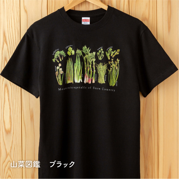 ［着る山菜］山菜図鑑Tシャツ（ブラック） 1枚目の画像