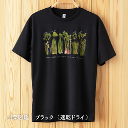 ［着る山菜］山菜図鑑Tシャツ（ブラック） 5枚目の画像
