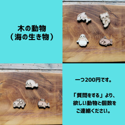《DIY》木の動物「海の生き物」 1枚目の画像