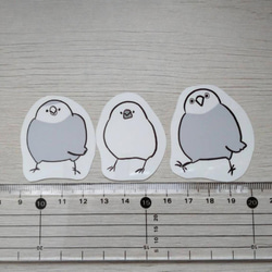 インコさんステッカーセット 3枚目の画像