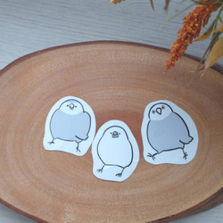 インコさんステッカーセット 2枚目の画像