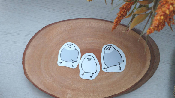 インコさんステッカーセット 2枚目の画像