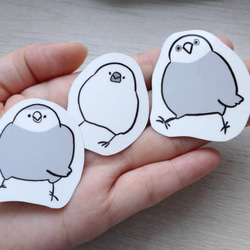 インコさんステッカーセット 1枚目の画像