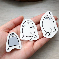 インコさんステッカーセット 1枚目の画像
