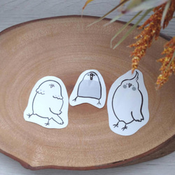 インコさんステッカーセット 2枚目の画像