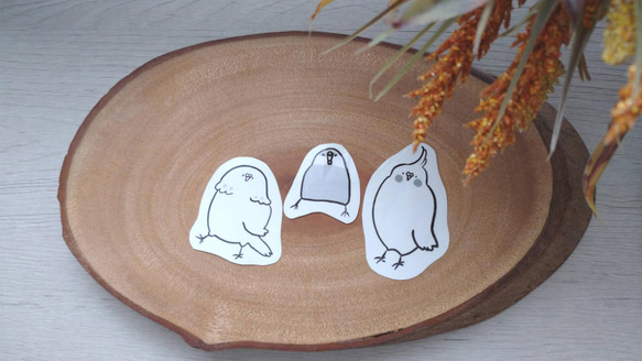 インコさんステッカーセット 2枚目の画像