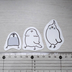 インコさんステッカーセット 3枚目の画像