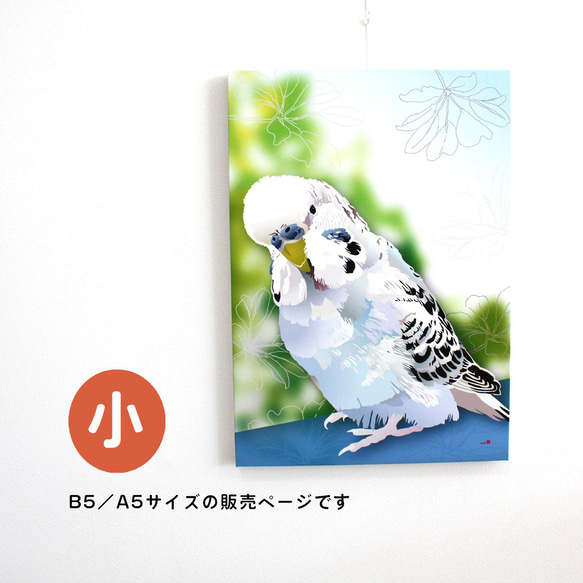 パネル作品【小】「ジャンボセキセイインコ 銀」（A5・B5サイズ） 写真