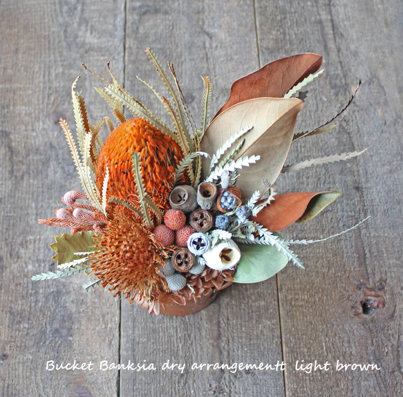 Bucket Banksia dry arrangement light brown M【ラッピング無料】 1枚目の画像
