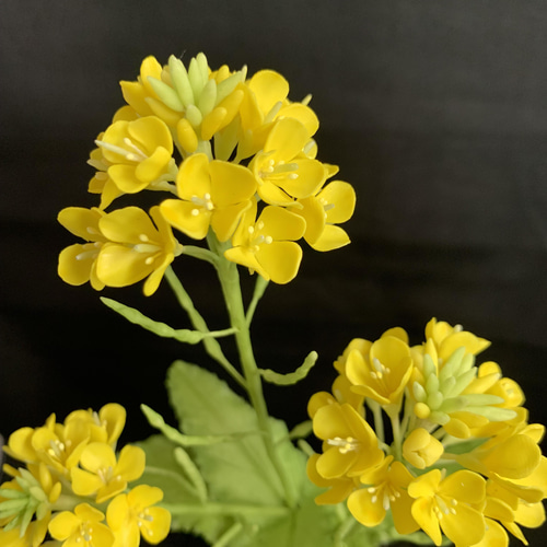 専用 スイートピー 菜の花 クレイフラワー クレイフラワー菜の花 その他インテリア雑貨 Aki 通販 13510595