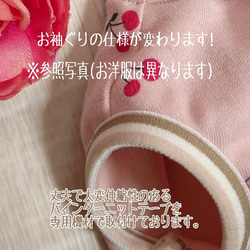 【犬服】☆再販☆ フルーツカシェモア ストロベリーケーキ ワンピース 5枚目の画像