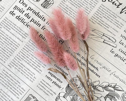 f519c26de7519d37a61251008c4cb0