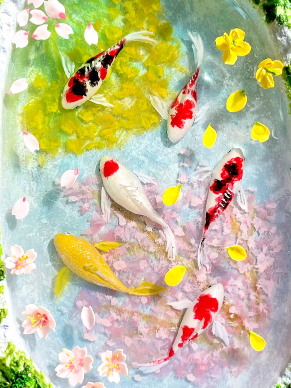 春の手水舎で泳ぐ錦鯉（桜と菜の花）　ミニチュア　インテリア 7枚目の画像