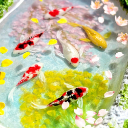 春の手水舎で泳ぐ錦鯉（桜と菜の花）　ミニチュア　インテリア 8枚目の画像