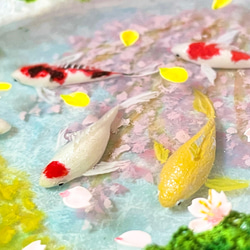 春の手水舎で泳ぐ錦鯉（桜と菜の花）　ミニチュア　インテリア 4枚目の画像