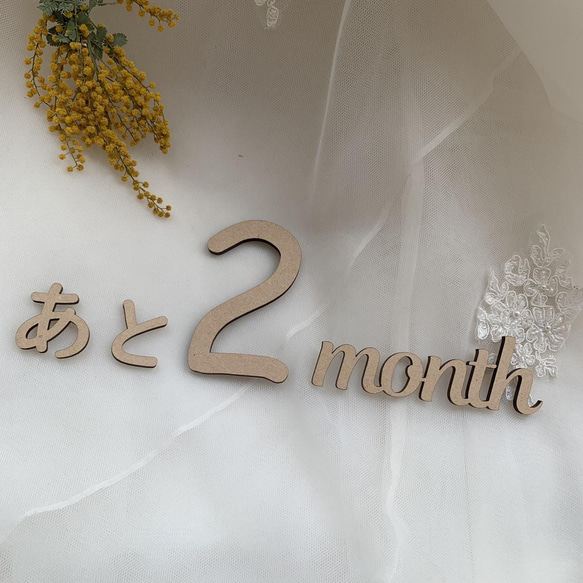 数字 あと days month year 16点セット レターバナー（誕生日　マタニティ 結婚式　カウントダウン） 15枚目の画像