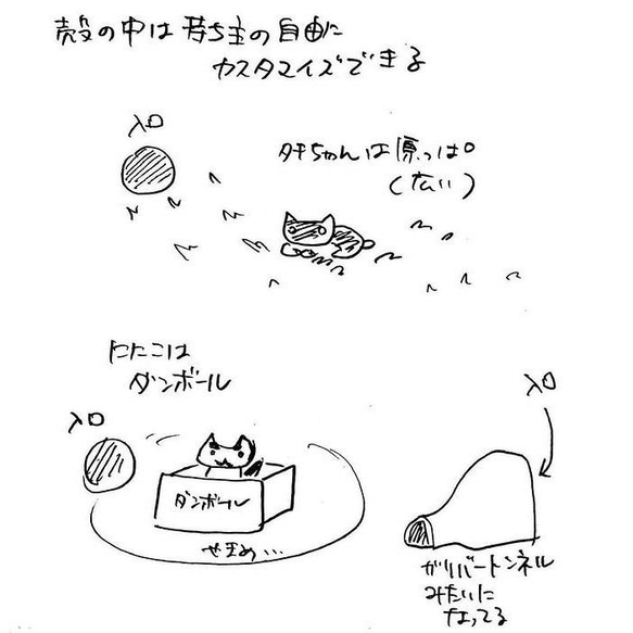 「ネコつむりににこ」SMサイズ額付きアート作品原画 猫 徳島洋子作品 ★ 星月猫 猫 カタツムリ 7枚目の画像