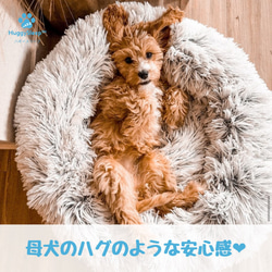 編み込み犬用ベッド