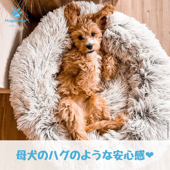 【癒しのベッド】犬用ベッド、猫用ベッド、犬用ソファー、犬用クッション、猫用ベッド、ペッドベッド 1枚目の画像