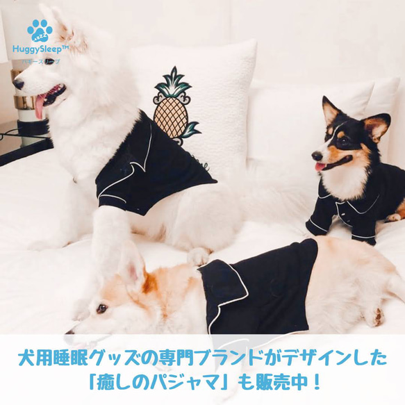 【癒しのベッド】犬用ベッド、猫用ベッド、犬用ソファー、犬用クッション、猫用ベッド、ペッドベッド 12枚目の画像