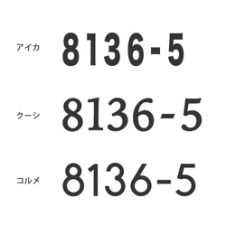 【鉄文字表札 ハウスナンバー】アイアン 切り文字（3文字） 9枚目の画像