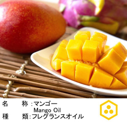 NOTO マンゴーのフレグランスアロマオイル10ml Mango フレグランスオイル　アロマギフト 2枚目の画像
