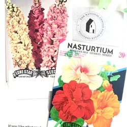 ヴィンテージ シードパッケージ 2枚 ＊花の種を入れる紙袋Ａ＊ LONE STAR SEED Co. U.S.A 1枚目の画像