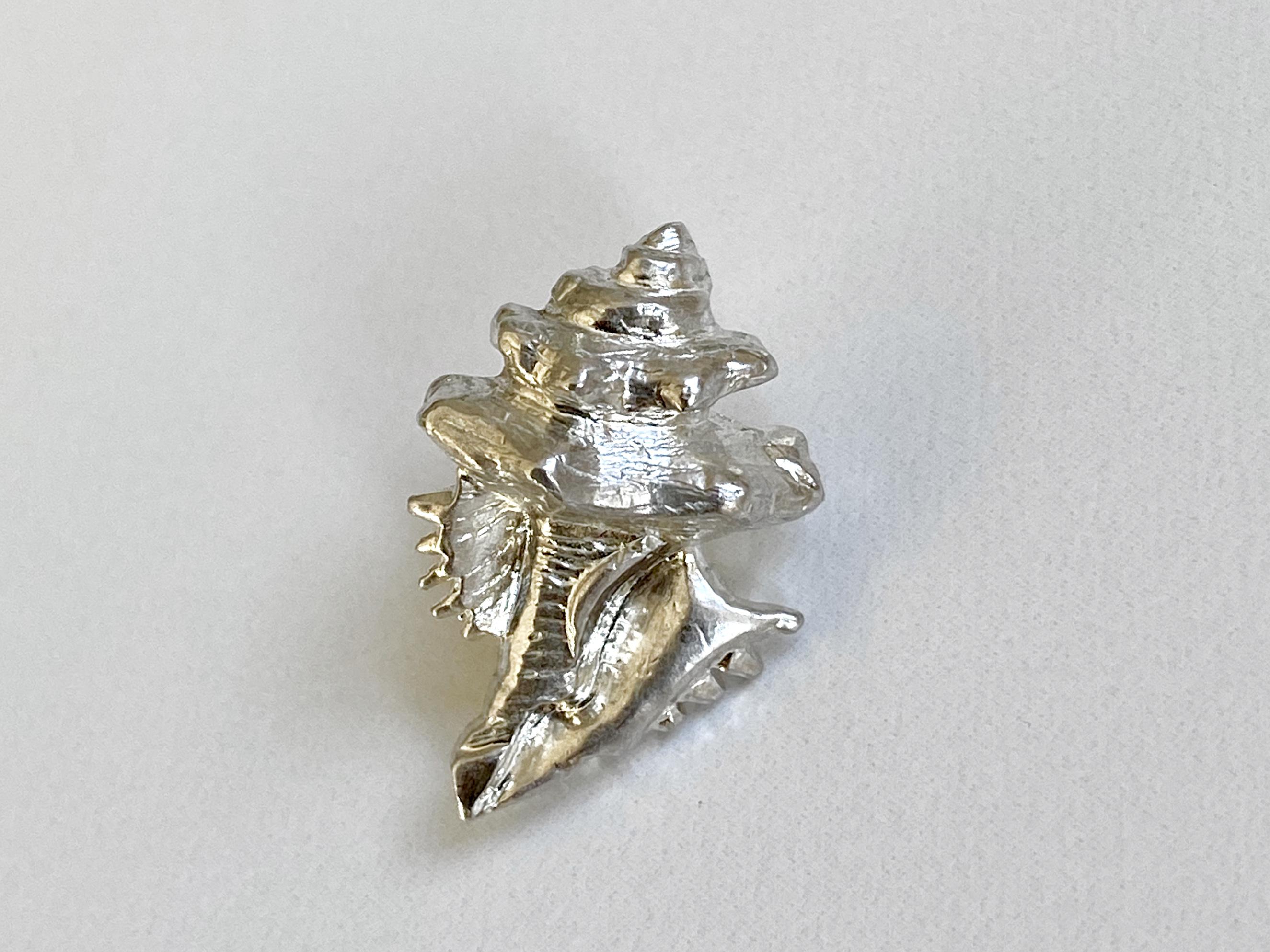 貝のピンブローチ