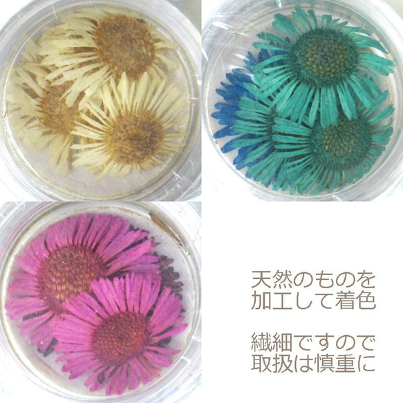 ドライフラワー 3色 丸プラケース入り　レジン ハーバリウム アクセサリー 手芸 工作 3枚目の画像