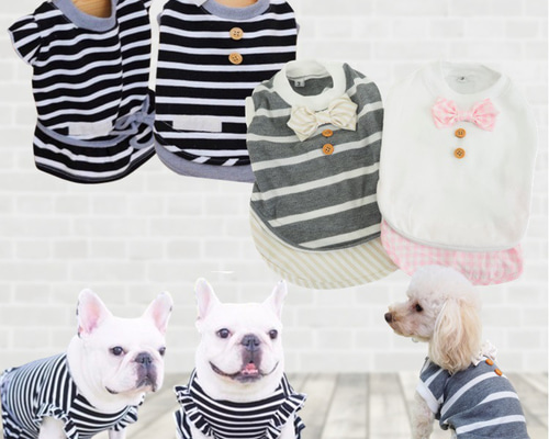 nodress シャツ　犬　トップス トップス 犬の服 鎌倉DOG