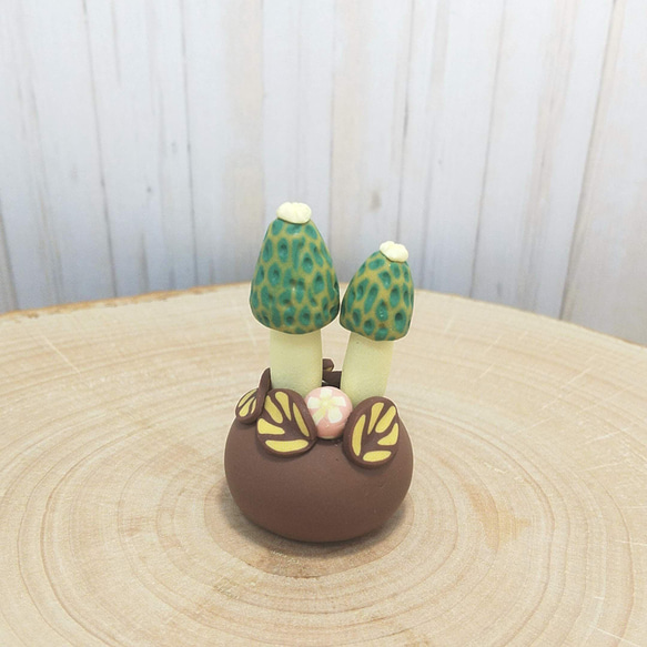 スーパーキノコボーイ様用 dab2308f9a2183161e2d5350008997