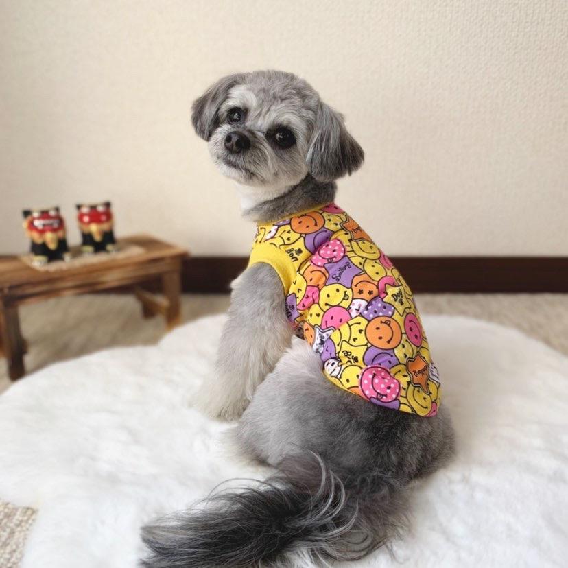 ピンクトイズ　犬娘