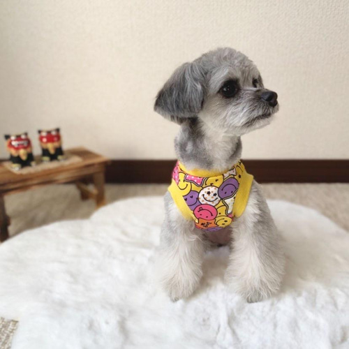 犬服！ジャージニコちゃん☺︎ピンクドット☆XS.S.M.DXS.DS.DM