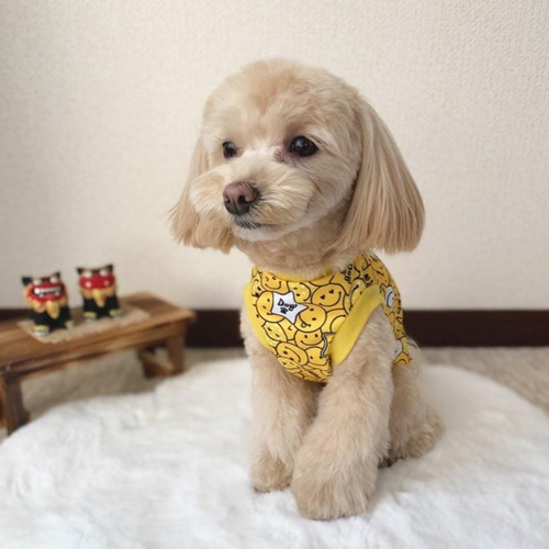 犬服ハンドメイド♡刺繍フリース*デニムリボン刺繍 犬服ハンドメイド♡刺繍フリース*デニムリボン刺繍