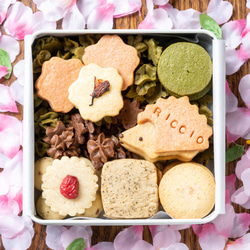 春のハリネズミクッキー缶⁂発酵バターと米油使用⁂ 1枚目の画像
