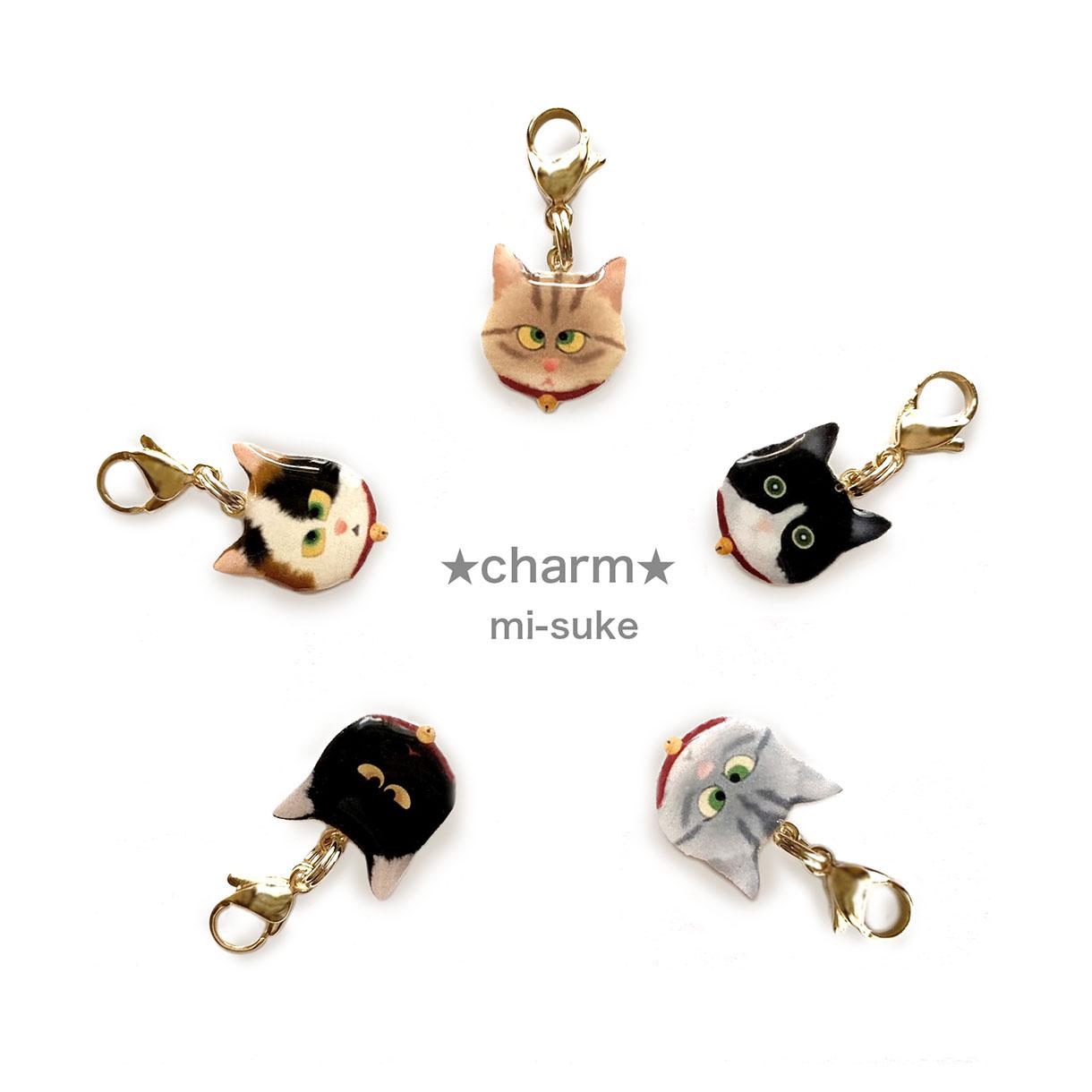 ☆茶トラ・ハチワレ猫・ジャンピング猫・チャーム☆