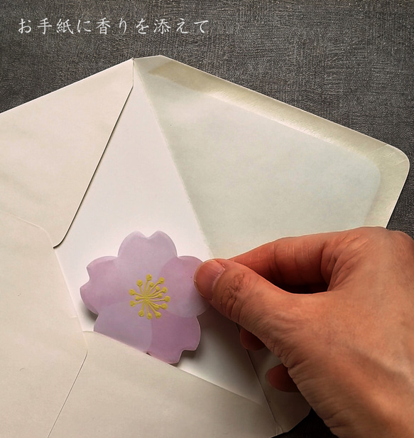 桜の「ごあいさつ香」　気持ちを添える和の香り  100%天然香料 2枚目の画像