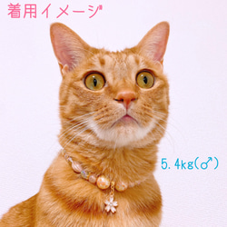 猫の首輪 春 桜ピンクビーズ✨ネックレス首輪♡桜チャーム 5枚目の画像