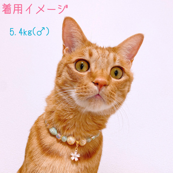 猫の首輪 春 桜エメラルドグリーンビーズ✨ネックレス首輪♡桜チャーム 5枚目の画像
