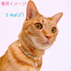 猫の首輪 春 桜エメラルドグリーンビーズ✨ネックレス首輪♡桜チャーム 6枚目の画像