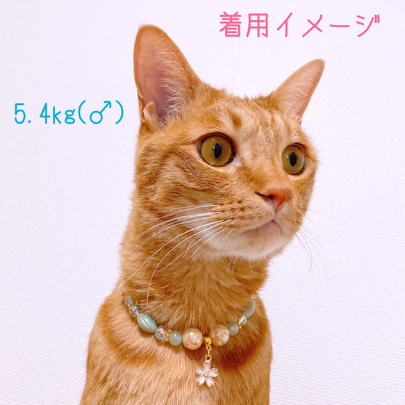 猫の首輪 春 桜エメラルドグリーンビーズ✨ネックレス首輪♡桜チャーム 7枚目の画像