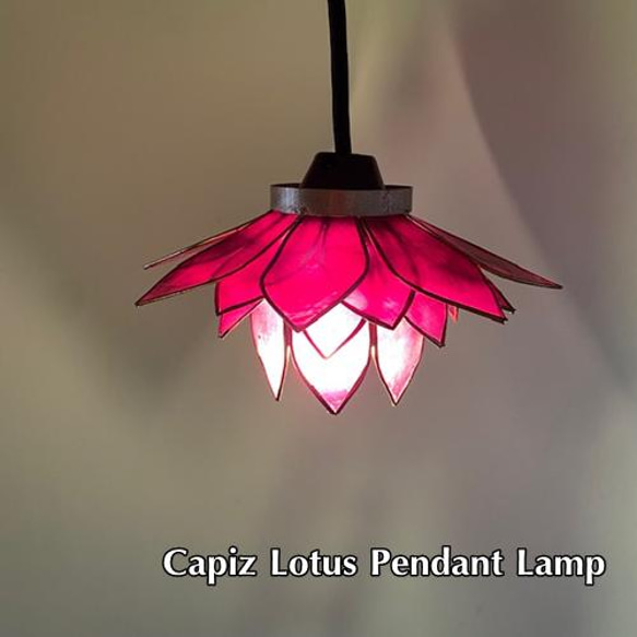 カピス貝 手作り照明 [希少品] カピス フランジパニ ハンギングランプ カピス貝 天吊り ペンダント