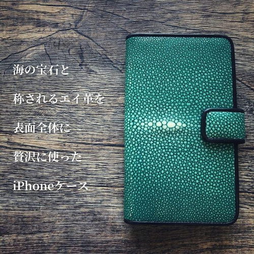 iPhone12 iPhone12Pro ケース 手帳型 スティングレイ NeedNetwork iPhone 12 ケース Pro カバー エイ革 スティング