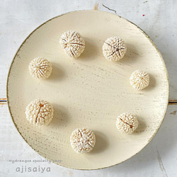 希少・数量限定】 黒ほおずき 【 ロスフラワー 】 ＜ 六合（くに