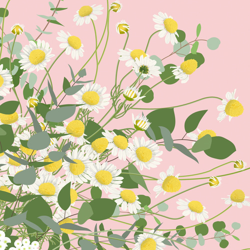 カモミールとユーカリのピッチャーアレンジ】インテリア アート